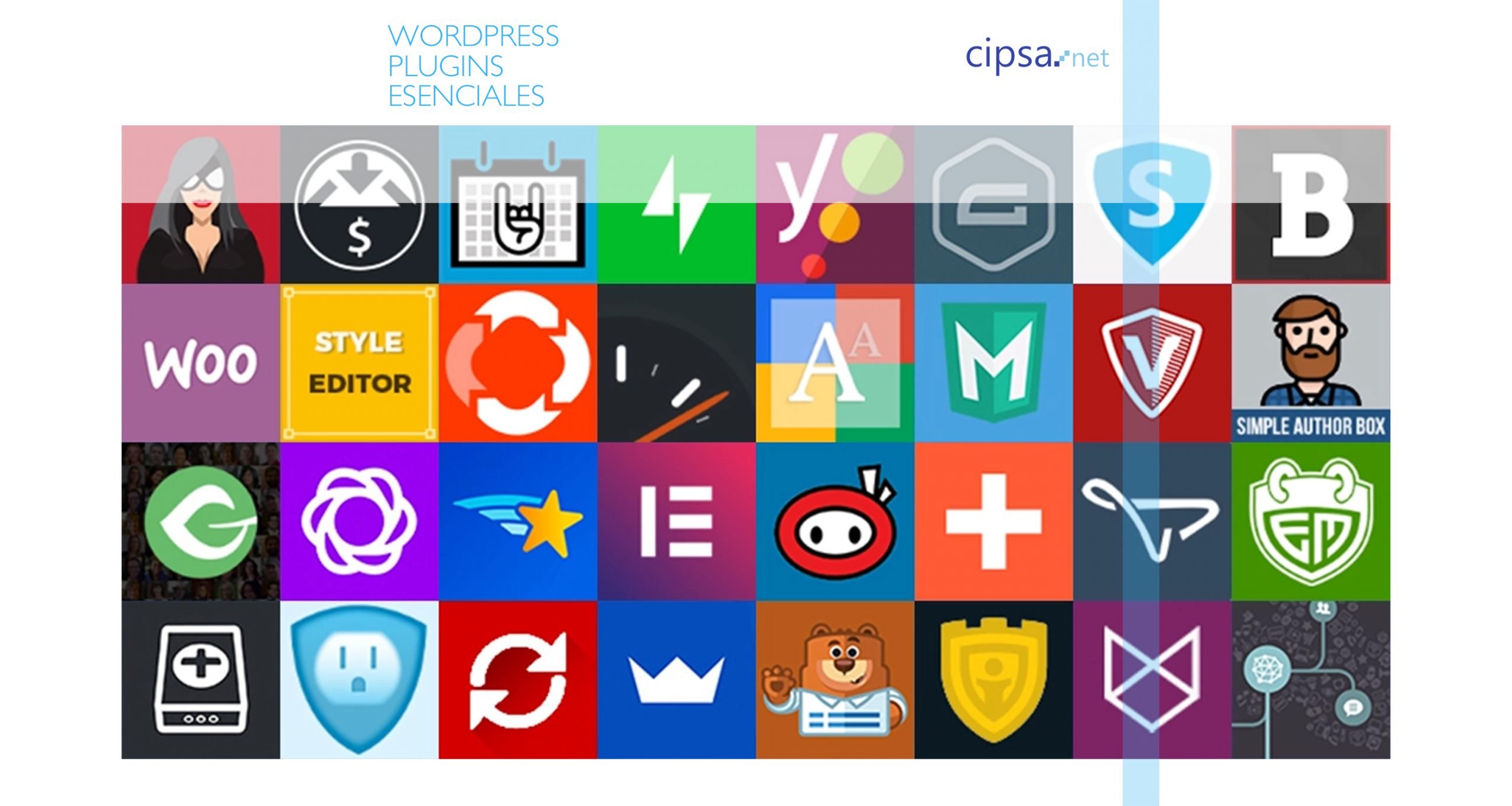 cipsa master marketing digital Barcelona wordpress plugins esenciales web