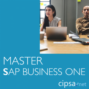 master SAP cipsa Barcelona y Bilbao