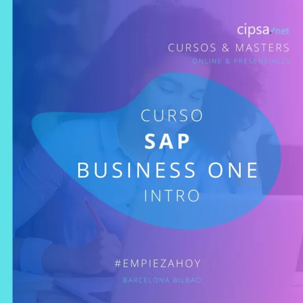 curso sap business one 20h presencial introducción