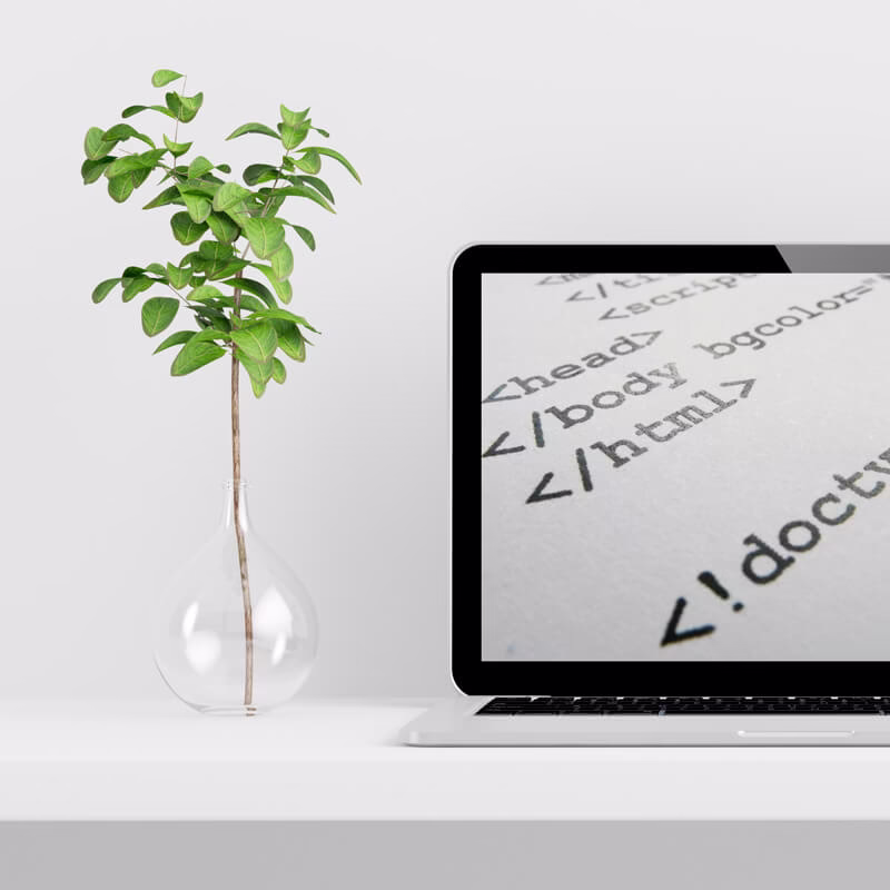 curso angular html