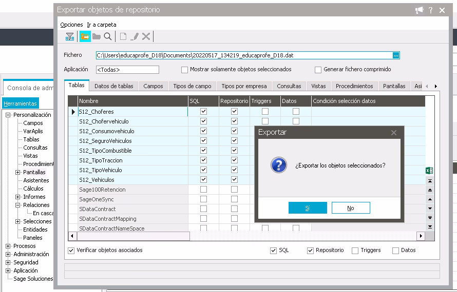 Plataforma básica y estructura funcional Curso Programacion SAGE 200