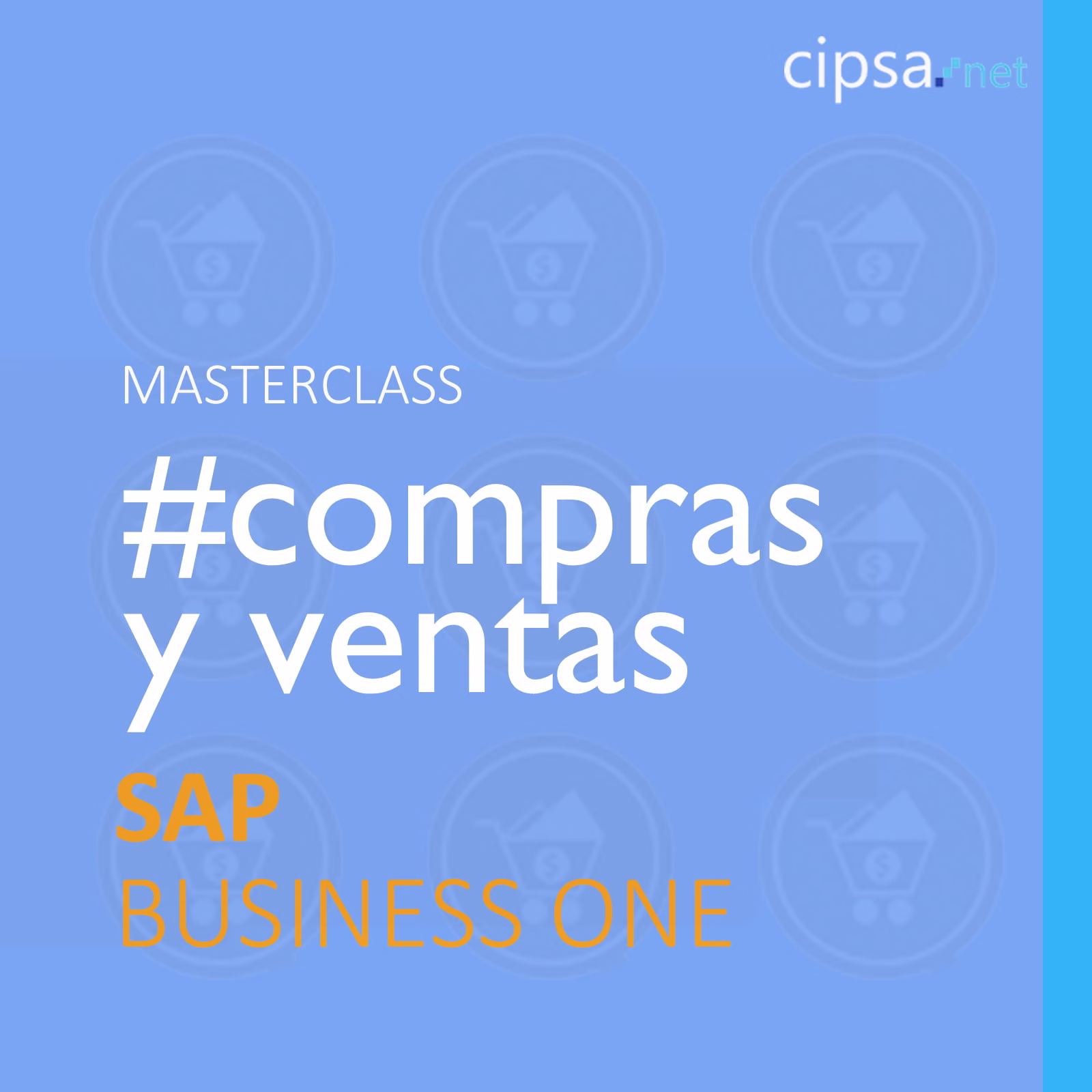 masterclass directo sap business one