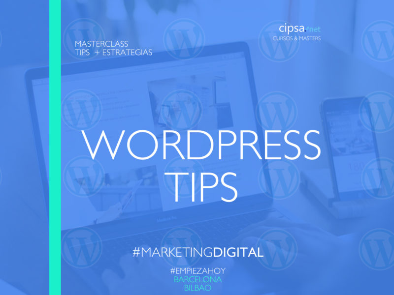 tips wordpress profesional plugins