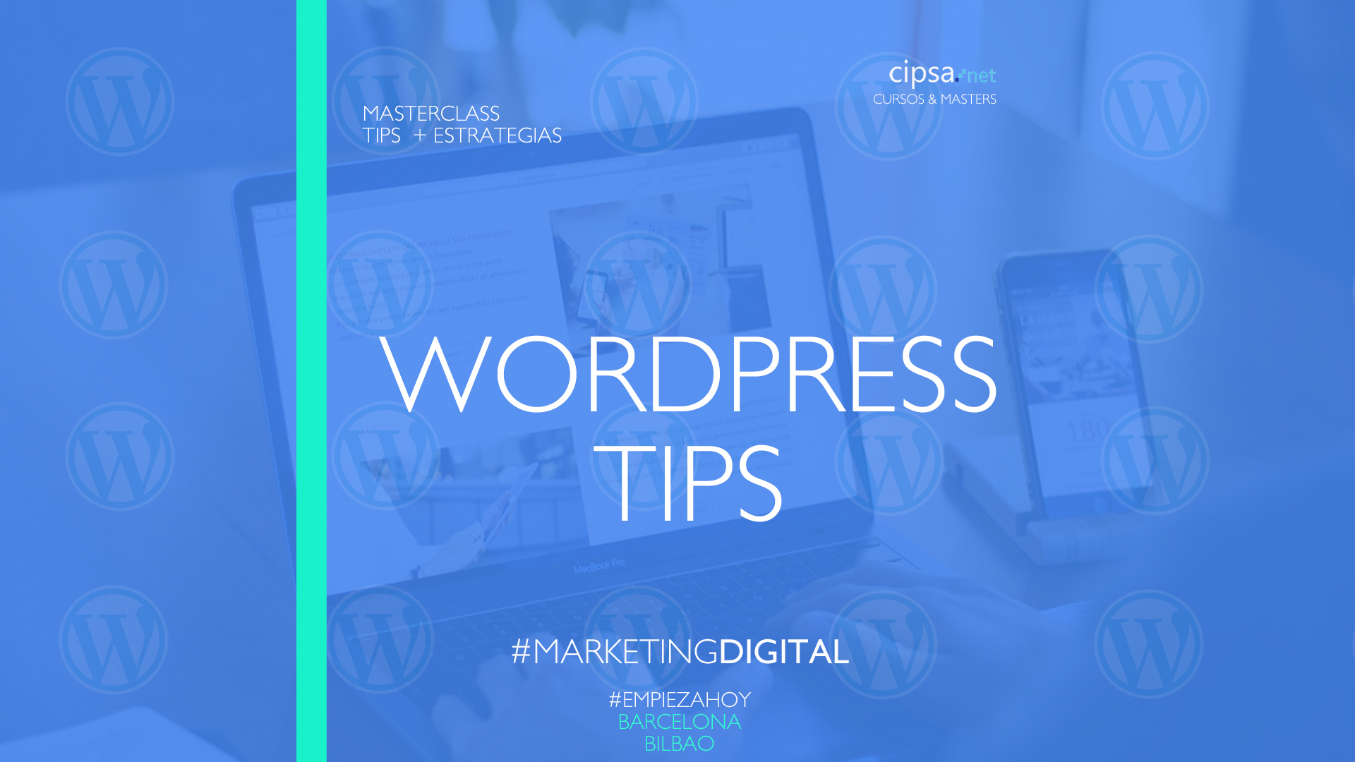 tips wordpress profesional plugins
