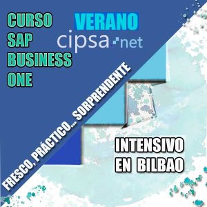 Curso Verano SAP en Deusto Bilbao 2018